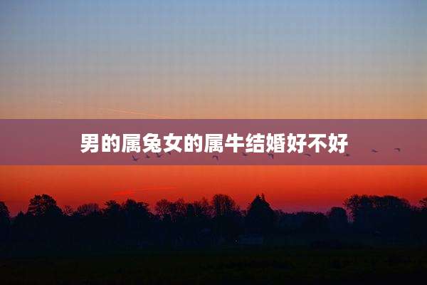 男的属兔女的属牛结婚好不好