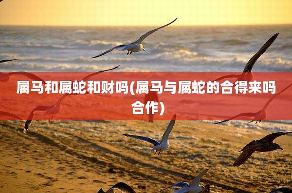 属马和属蛇和财吗(属马与属蛇的合得来吗 合作)