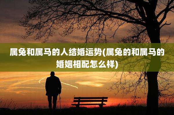 属兔和属马的人结婚运势(属兔的和属马的婚姻相配怎么样)