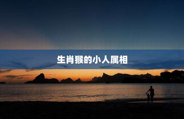 生肖猴的小人属相