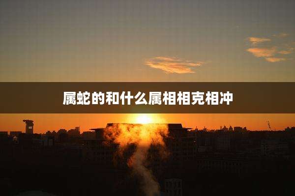 属蛇的和什么属相相克相冲