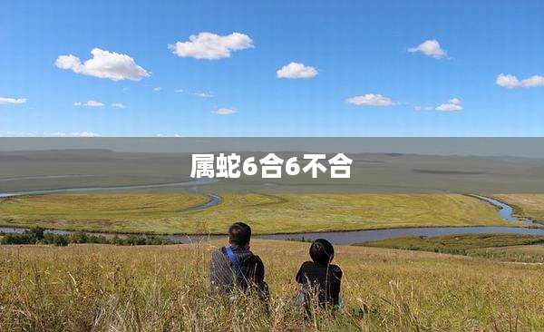 属蛇6合6不合