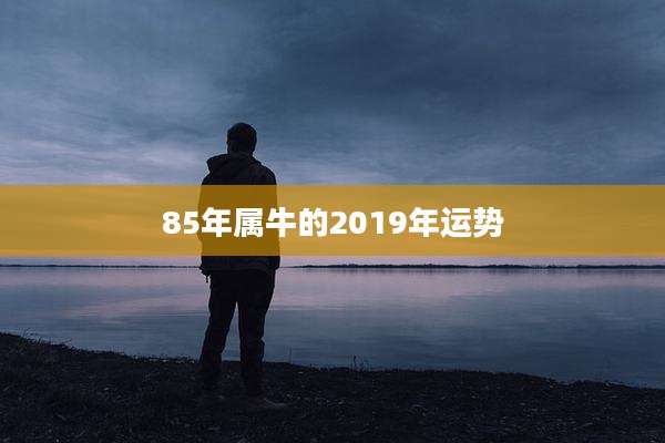 85年属牛的2019年运势