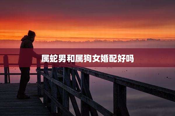 属蛇男和属狗女婚配好吗
