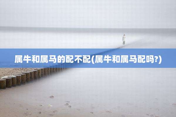 属牛和属马的配不配(属牛和属马配吗?)
