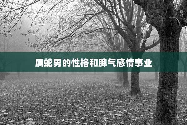 属蛇男的性格和脾气感情事业
