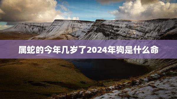 属蛇的今年几岁了2024年狗是什么命