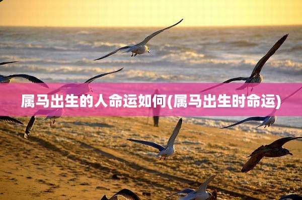 属马出生的人命运如何(属马出生时命运)