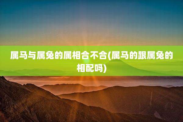 属马与属兔的属相合不合(属马的跟属兔的相配吗)