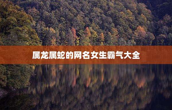 属龙属蛇的网名女生霸气大全