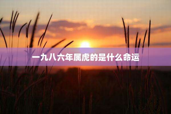 一九八六年属虎的是什么命运