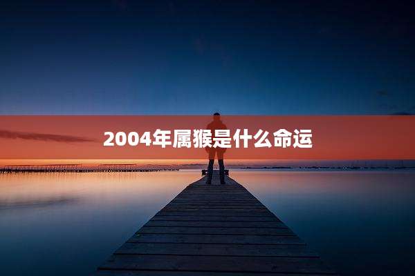 2004年属猴是什么命运