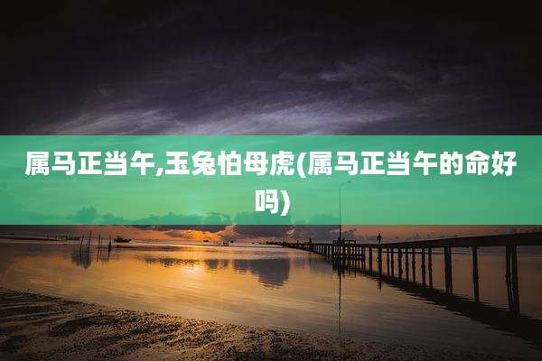 属马正当午,玉兔怕母虎(属马正当午的命好吗)