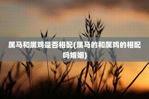 属马和属鸡是否相配(属马的和属鸡的相配吗婚姻)