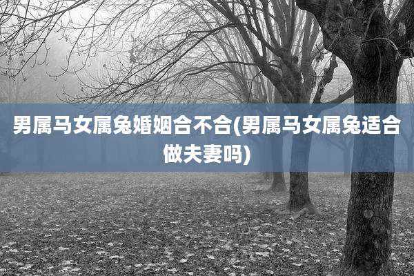 男属马女属兔婚姻合不合(男属马女属兔适合做夫妻吗)