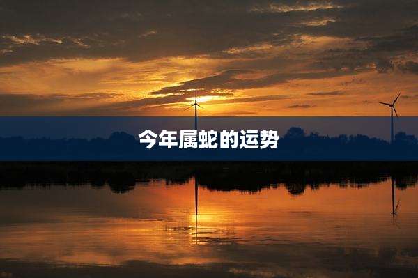 今年属蛇的运势