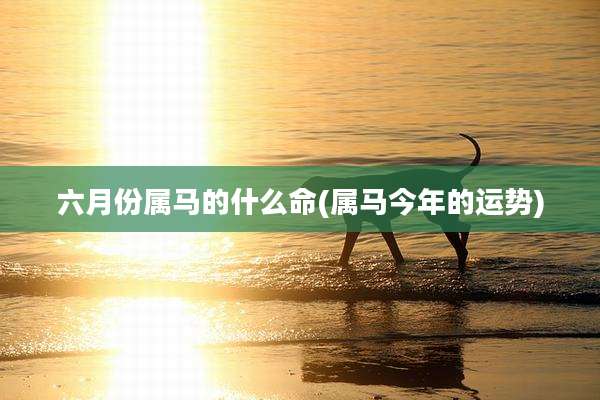 六月份属马的什么命(属马今年的运势)