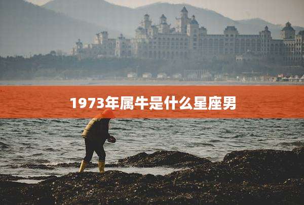 1973年属牛是什么星座男