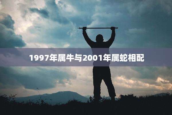 1997年属牛与2001年属蛇相配