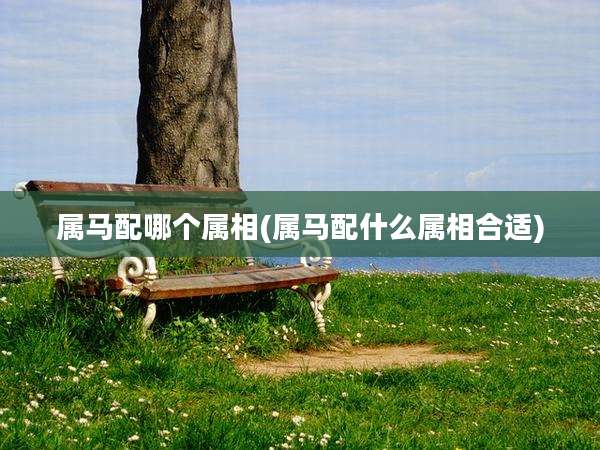 属马配哪个属相(属马配什么属相合适)