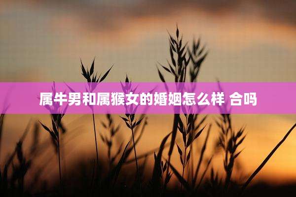 属牛男和属猴女的婚姻怎么样 合吗