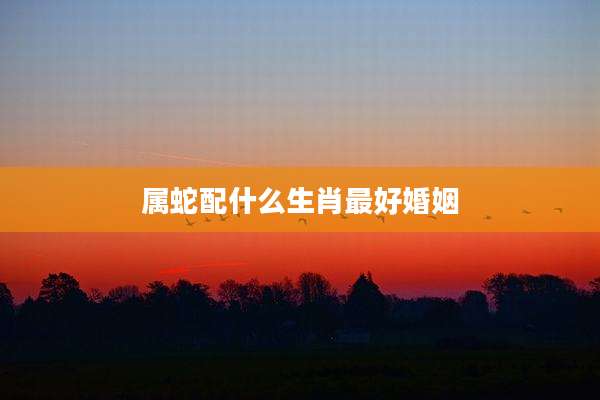 属蛇配什么生肖最好婚姻