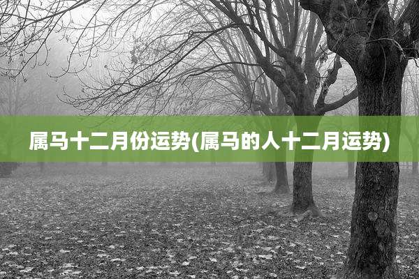 属马十二月份运势(属马的人十二月运势)