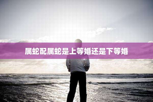 属蛇配属蛇是上等婚还是下等婚