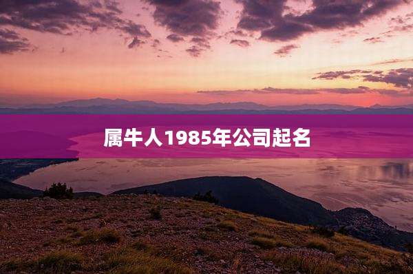 属牛人1985年公司起名