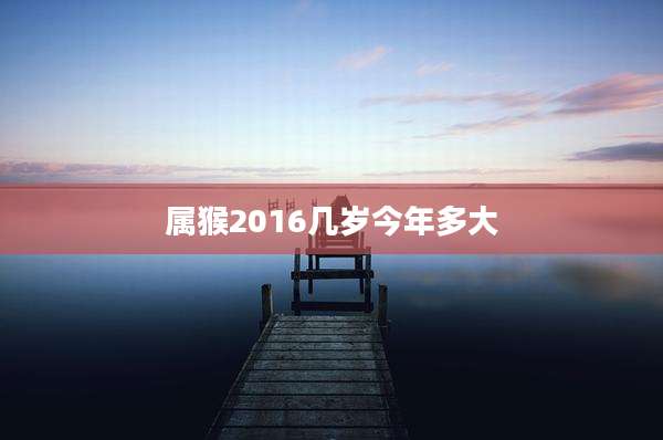 属猴2016几岁今年多大