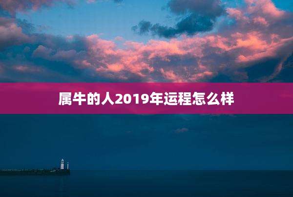 属牛的人2019年运程怎么样