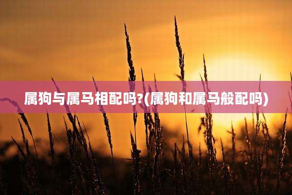 属狗与属马相配吗?(属狗和属马般配吗)