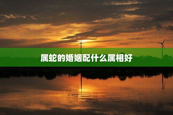 属蛇的婚姻配什么属相好