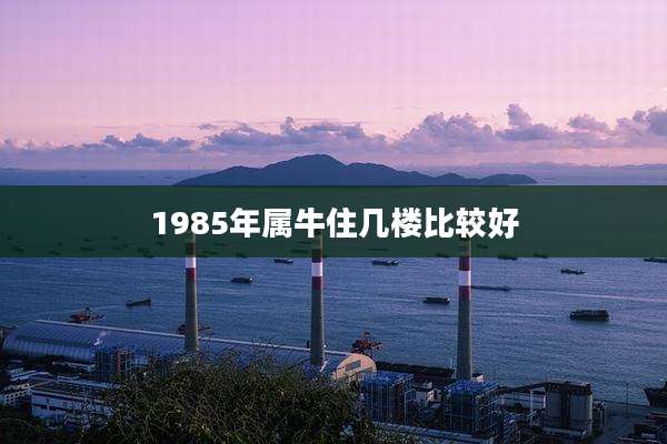 1985年属牛住几楼比较好