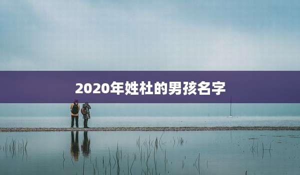 2020年姓杜的男孩名字