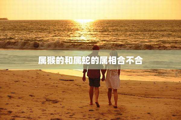 属猴的和属蛇的属相合不合