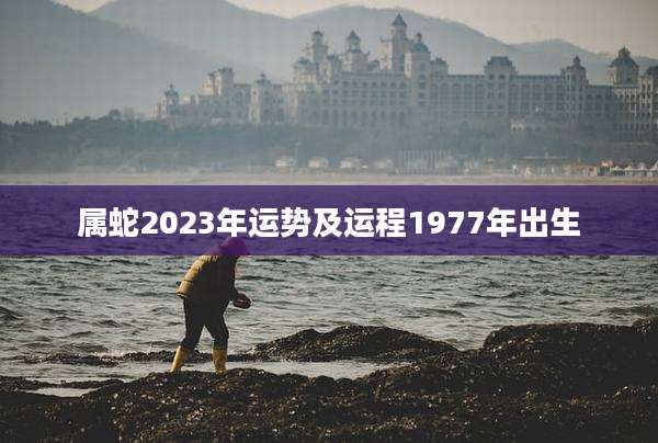 属蛇2023年运势及运程1977年出生