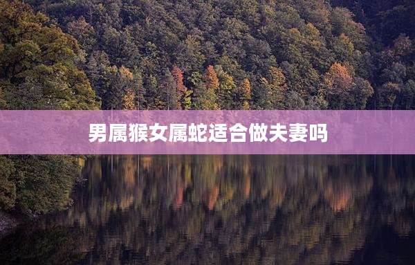 男属猴女属蛇适合做夫妻吗