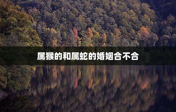 属猴的和属蛇的婚姻合不合