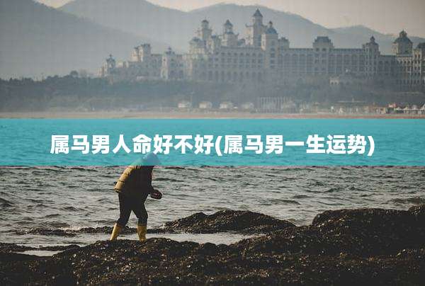 属马男人命好不好(属马男一生运势)