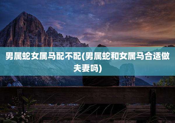 男属蛇女属马配不配(男属蛇和女属马合适做夫妻吗)