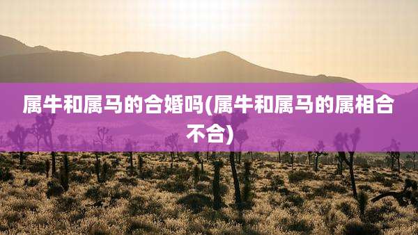 属牛和属马的合婚吗(属牛和属马的属相合不合)