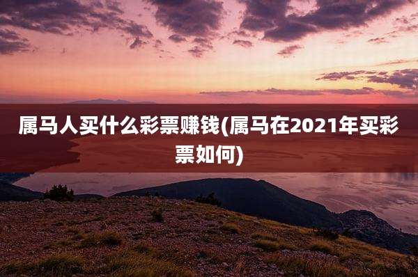 属马人买什么彩票赚钱(属马在2021年买彩票如何)