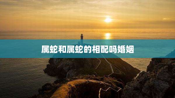 属蛇和属蛇的相配吗婚姻