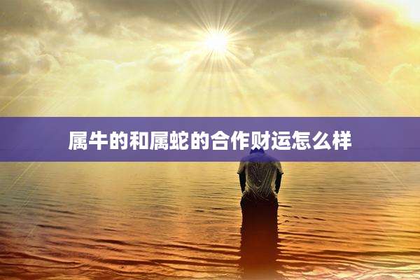 属牛的和属蛇的合作财运怎么样