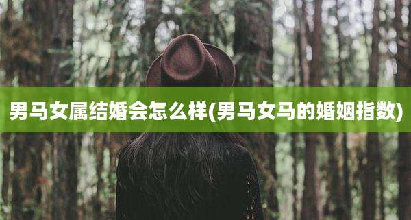 男马女属结婚会怎么样(男马女马的婚姻指数)