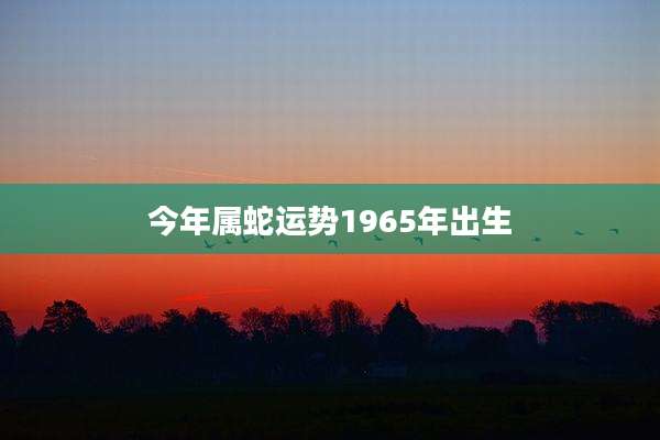 今年属蛇运势1965年出生