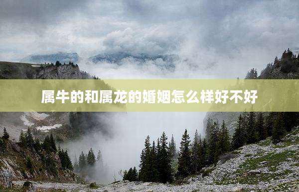 属牛的和属龙的婚姻怎么样好不好