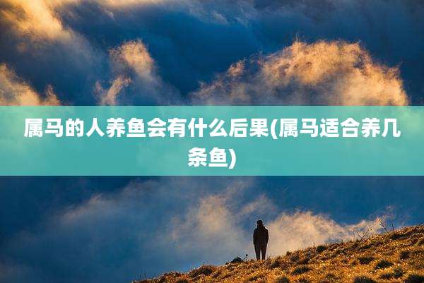 属马的人养鱼会有什么后果(属马适合养几条鱼)