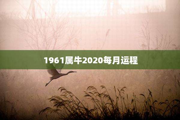 1961属牛2020每月运程